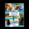 Chesapeake Puppies Coming Soon!